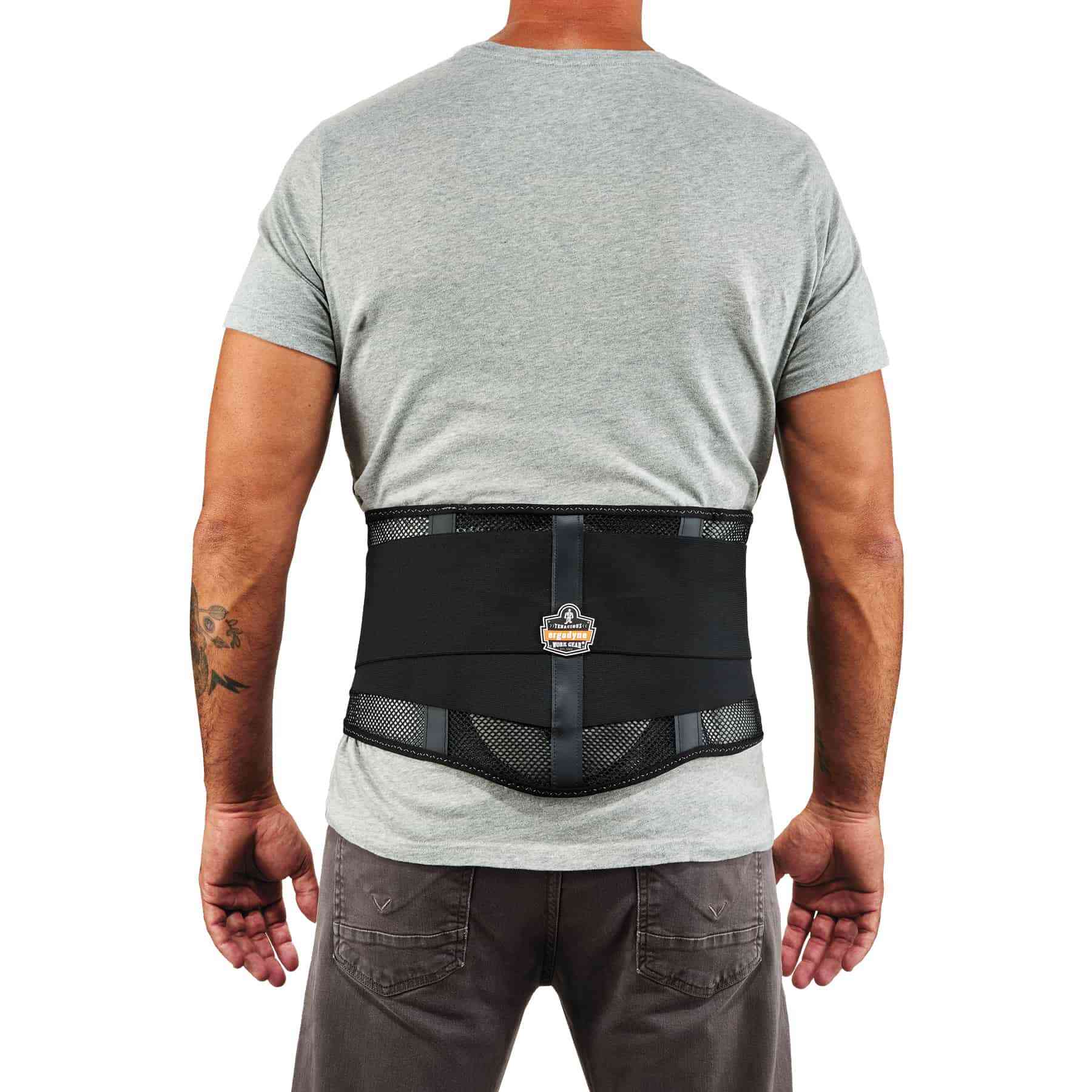 Mesh Back Support w/Lumbar Pad