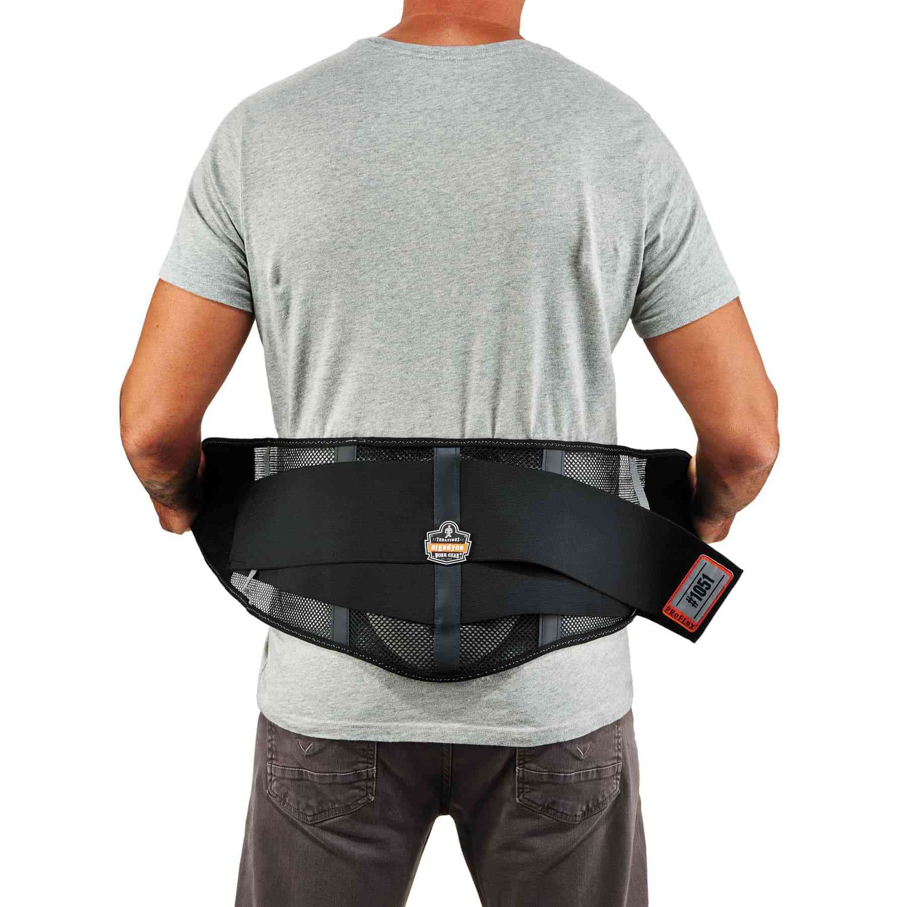 Mesh Back Support w/Lumbar Pad