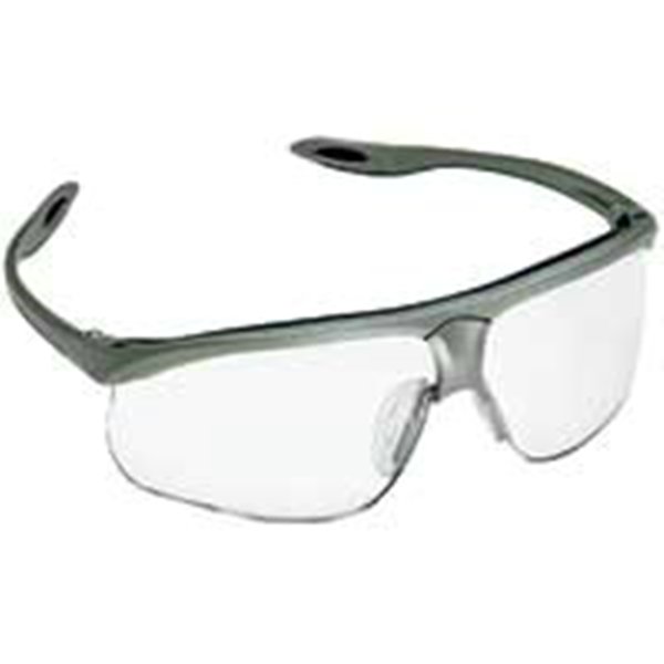 GLASSES,MAXIM,CLEAR LENS, 10/BX