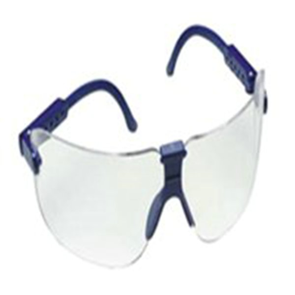 SAFETY GLASSES,FECTOIDS,FRAME,CLEAR LENS